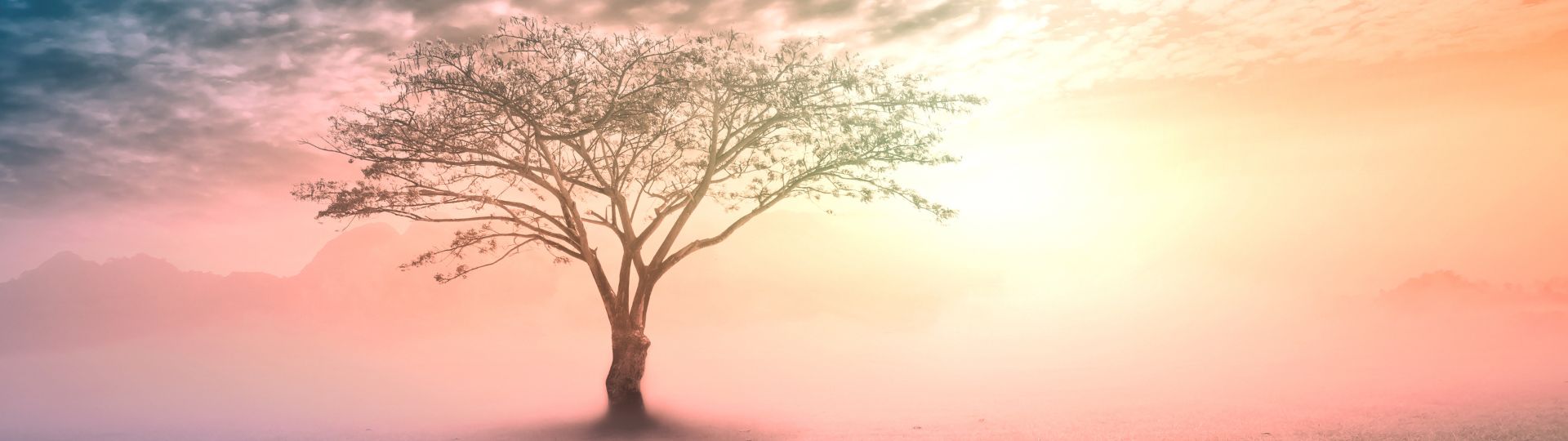 A serene landscape representing the Ancestral Healing Workshop for spiritual growth and healing.